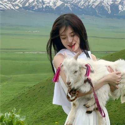 功夫无敌 在线观看封面